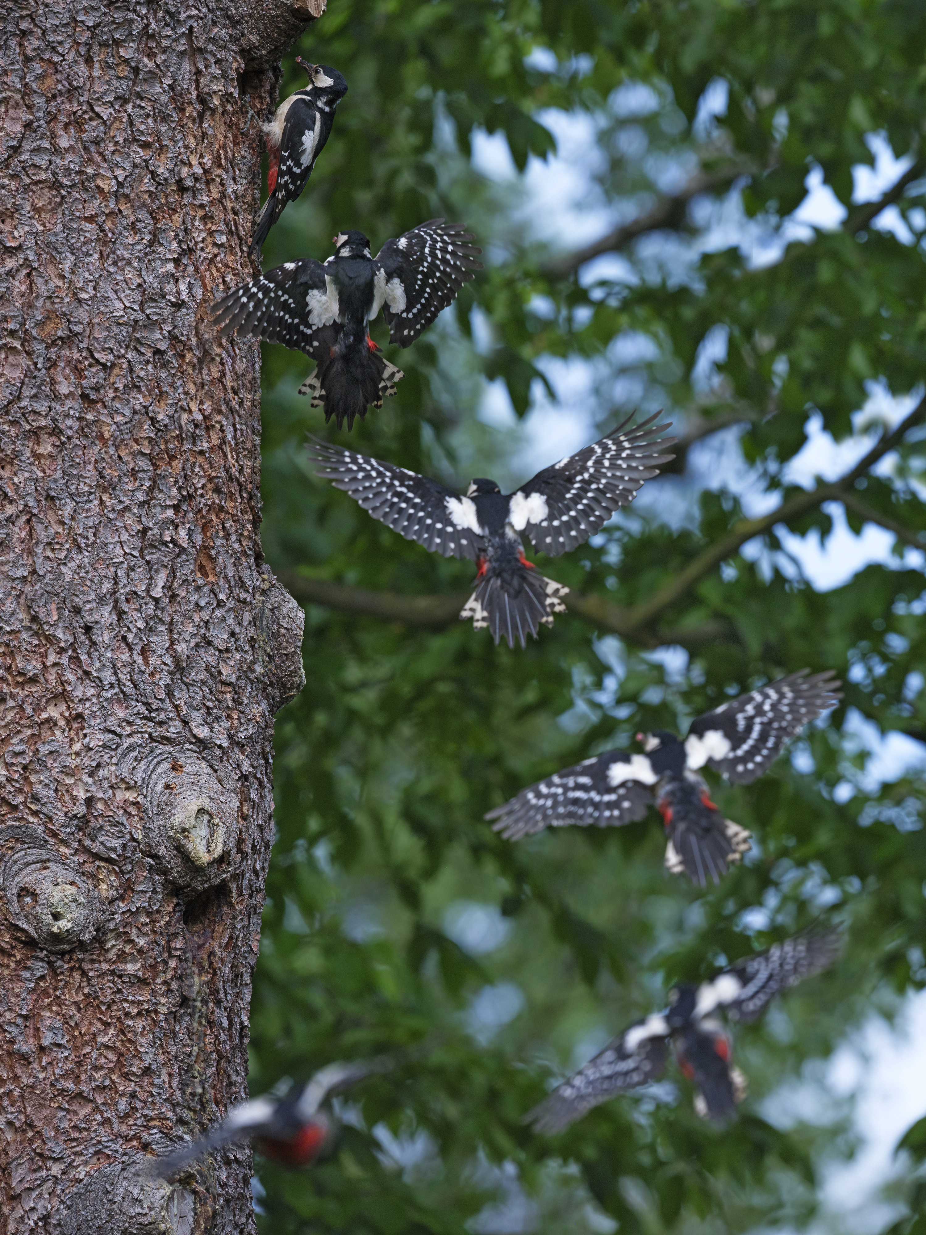 Punktgenaue Landung ...